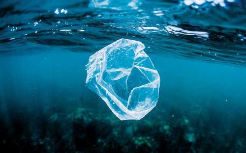 Viet Nam and World Economic Forum Launch Partnership to Tackle Plastic Pollution