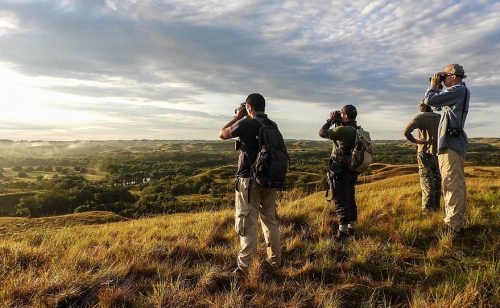 Why Nature Lover Need to Visit Colombia