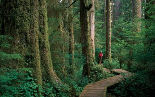 In Canada Doctors Can Now Prescribe a Visit to a National Park