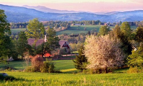 Agritourism Sector Reconvenes to Build on Global Synergy - Photo: Dennis Curran