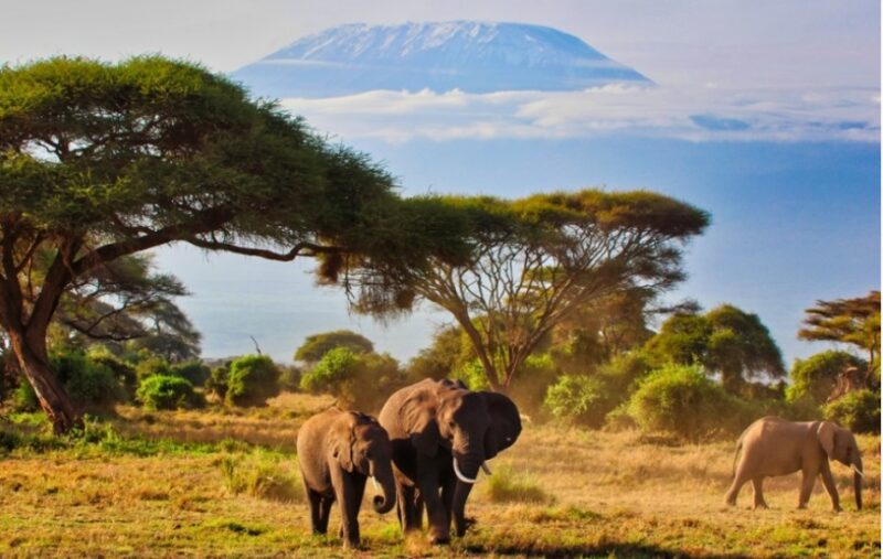 Tourism in Kenya Injected KES 1TN to the National Economy - VISITKENYA